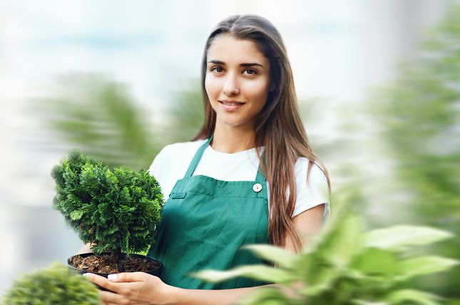 В каком стиле оформить участок? Разбираемся в ландшафтном дизайне - у нас можно заказать природный камень по низким ценам - как заказать, где купить без посредников, куда обратиться, быстро с доставкой под ключ - в Камень Клуб